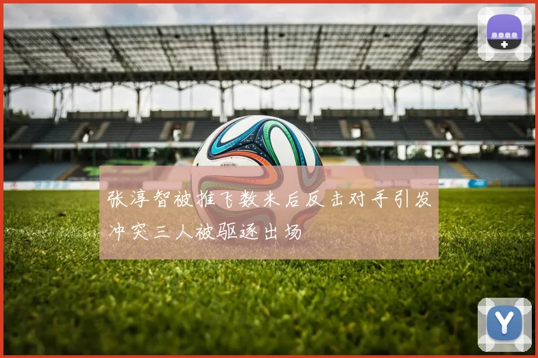 张淳智被推飞数米后反击对手引发冲突三人被驱逐出场