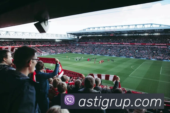 bsports官网入口品牌故事